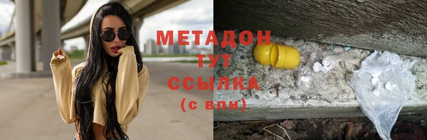 индика Гусь-Хрустальный