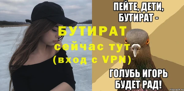 индика Гусь-Хрустальный