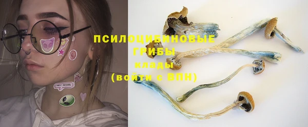 прущая мука Дмитриев