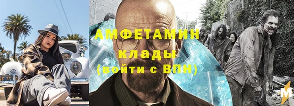индика Гусь-Хрустальный