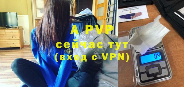 индика Гусь-Хрустальный