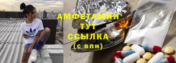 тгк Дмитровск