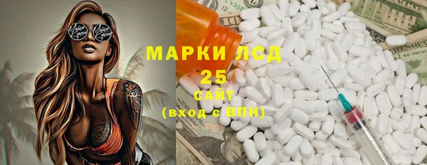индика Гусь-Хрустальный