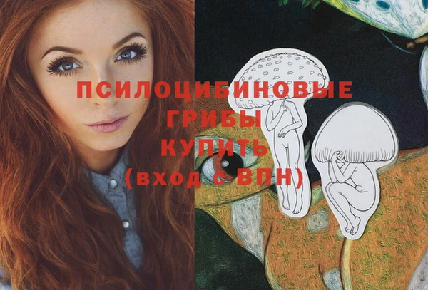каннабис Гусиноозёрск