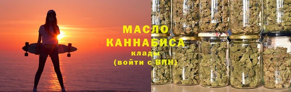 индика Гусь-Хрустальный