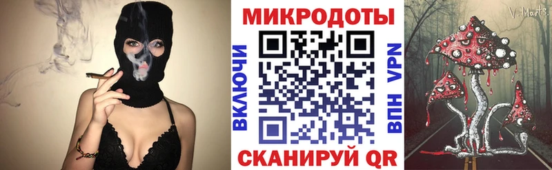 OMG рабочий сайт  Гусев  Галлюциногенные грибы прущие грибы 